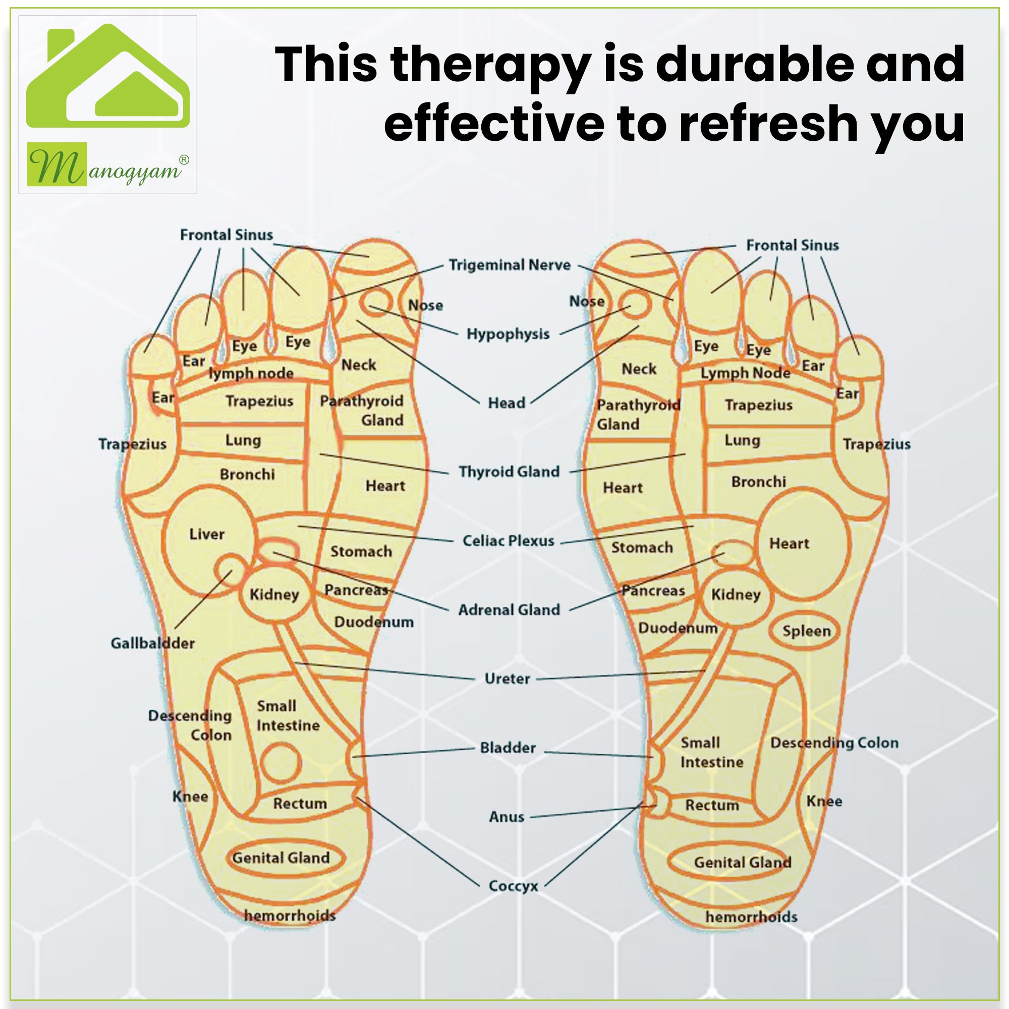 Manogyam Acupressure Mat | Acupressure Foot Mat